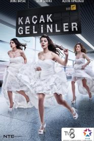 مسلسل عروسات هاربات