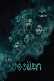فيلم The Djinn’s Curse 2023 مترجم