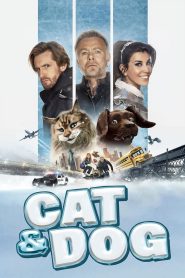 فيلم Chien et chat 2024 مترجم
