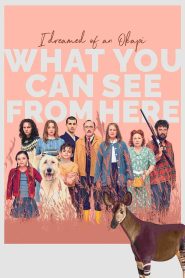 فيلم What You Can See from here 2022 مترجم