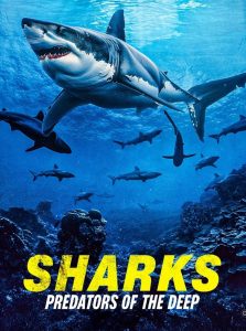 فيلم Sharks: Predators of the Deep 2024 مترجم