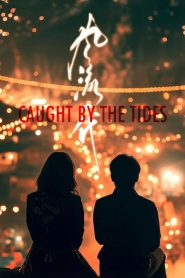 فيلم Caught by the Tides 2024 مترجم