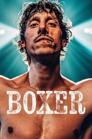فيلم Boxer 2024 مترجم