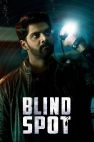 فيلم Blind Spot 2025 مترجم