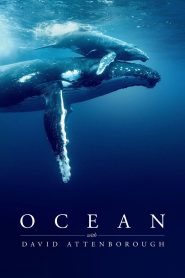 فيلم Ocean with David Attenborough 2025 مترجم