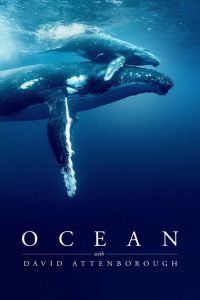 فيلم Ocean with David Attenborough 2025 مترجم