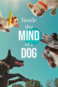 فيلم Inside the Mind of a Dog 2024 مترجم