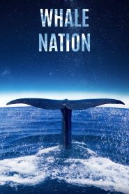 فيلم Whale Nation 2023 مترجم