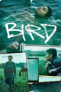 فيلم Bird 2024 مترجم