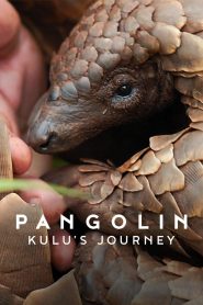 فيلم Pangolin: Kulu’s Journey 2025 مترجم