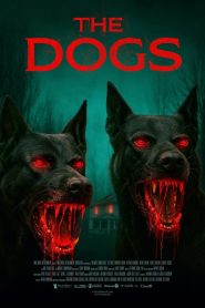 فيلم The Dogs 2025 مترجم