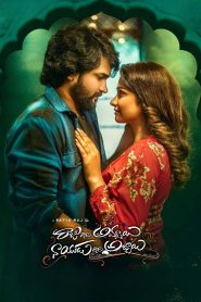 فيلم Raju Gari Ammayi Naidu Gari Abbayi 2024 مترجم