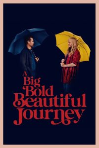 فيلم A Big Bold Beautiful Journey 2025 مترجم