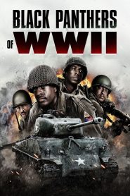 فيلم Black Panthers of WWII 2025 مترجم