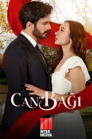 مسلسل خيوط الحياة