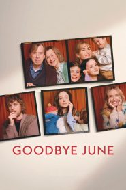 فيلم Goodbye June 2025 مترجم