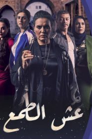 مسلسل عش الطمع