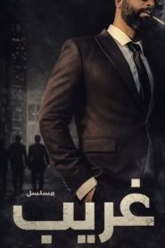 مسلسل غريب الدار