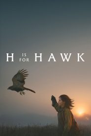 فيلم H Is for Hawk 2025 مترجم