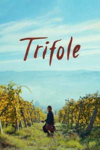 فيلم Trifole 2024 مترجم