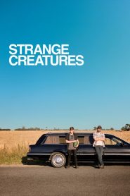فيلم Strange Creatures 2024 مترجم